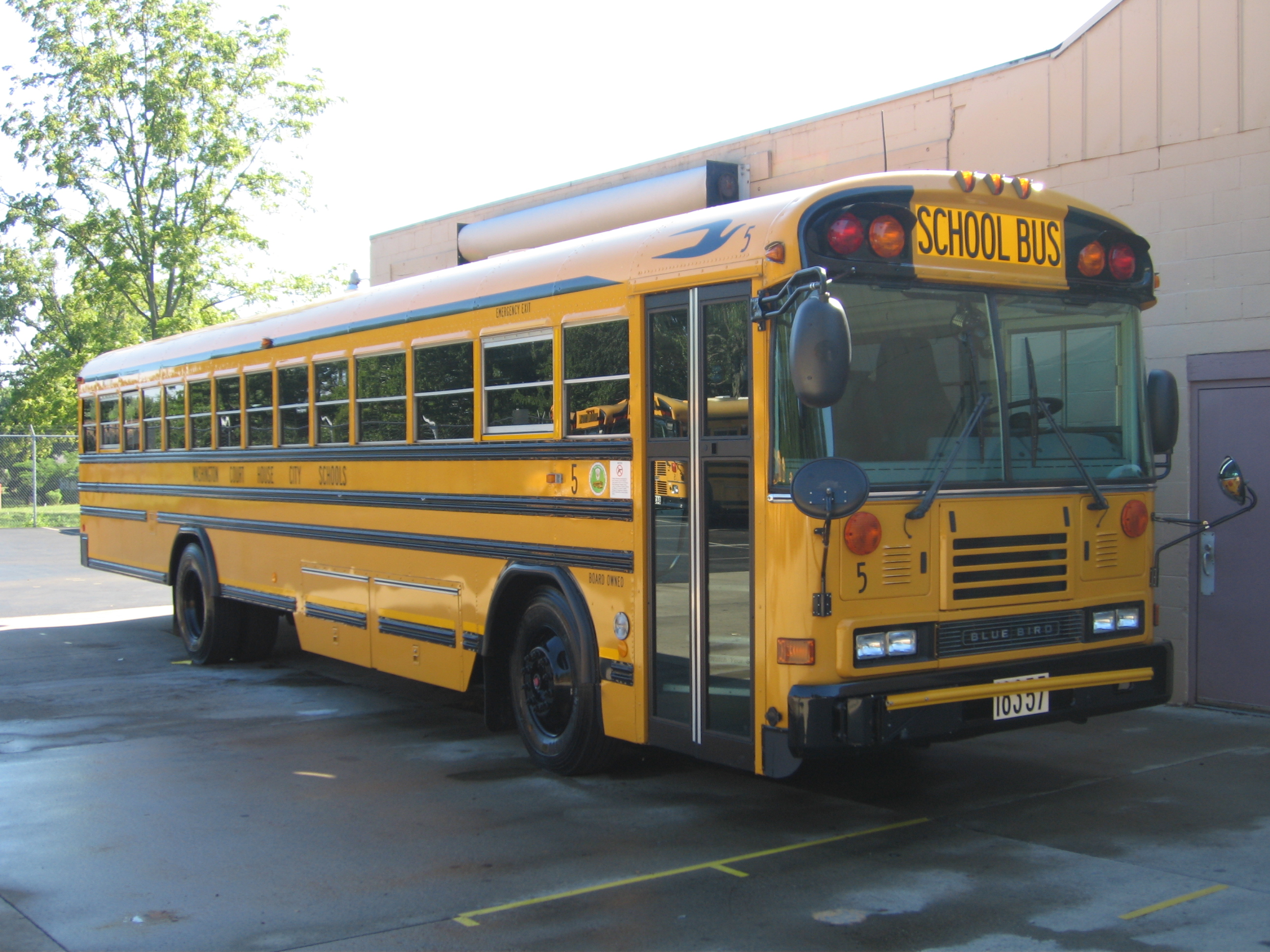 Blue Bird All American